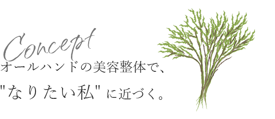 オールハンドの美容整体で、 "なりたい私"に近づく。