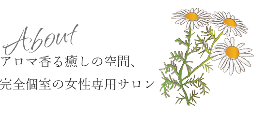 サロンについて